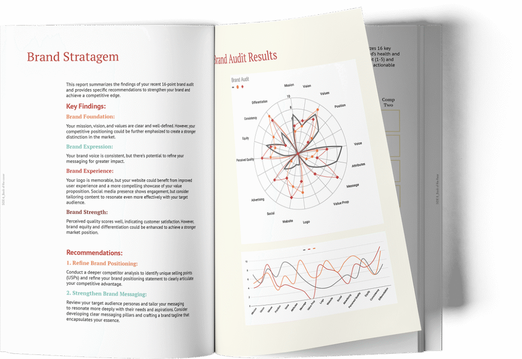 Brand Audit Book